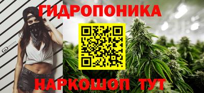 шишки Гусиноозёрск