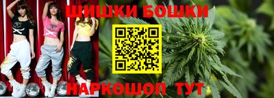 шишки Гусиноозёрск