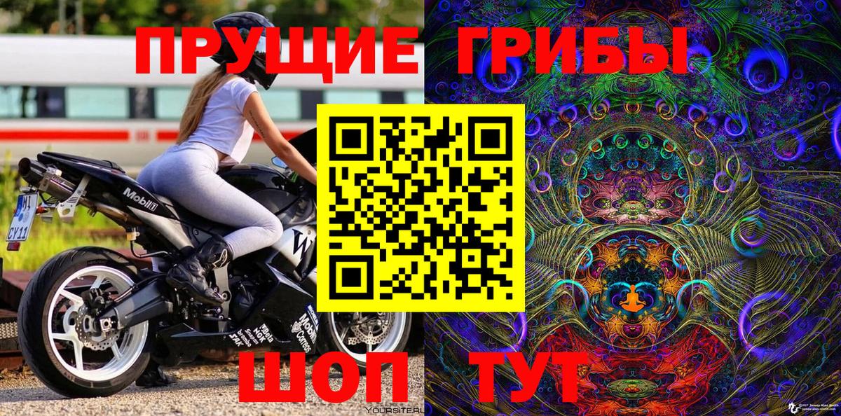 Галлюциногенные грибы Cubensis Волгоград